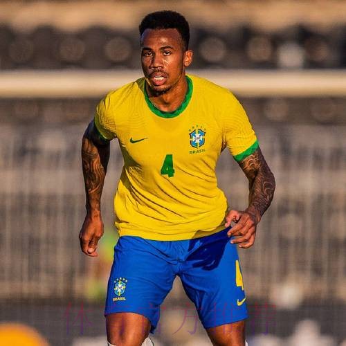 最新世界杯巴西哈兰德阵容解析权威解读 最新世界杯巴西哈兰德阵容解析权威解读